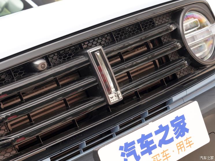 長城汽車 坦克300 2021款 2.0T 致敬莫奈限定版