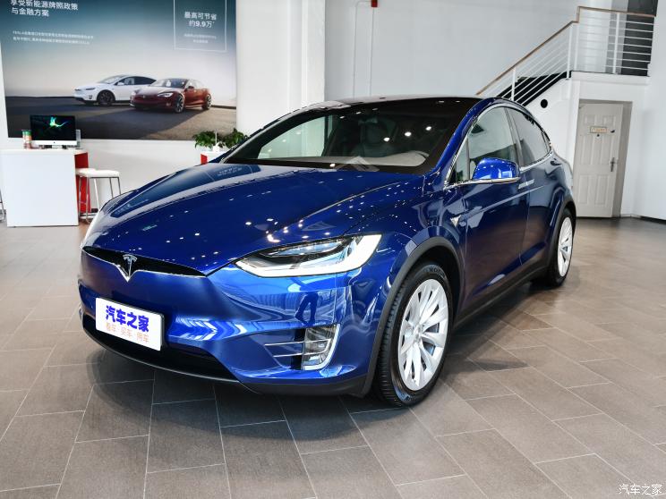 特斯拉（進(jìn)口） Model X 2019款 Performance 高性能版