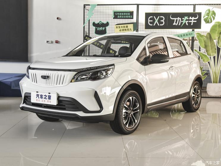 幾何汽車 EX3 功夫牛 2021款 堅強牛牛