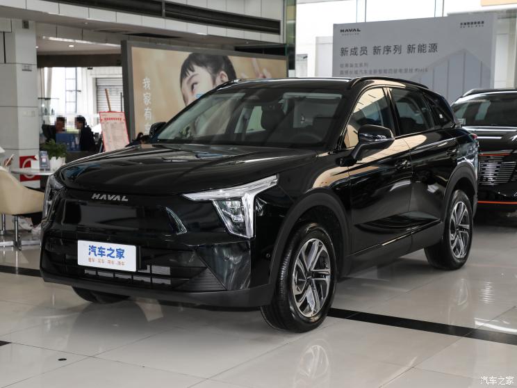 長城汽車 哈弗梟龍 2023款 1.5L 110KM領航版