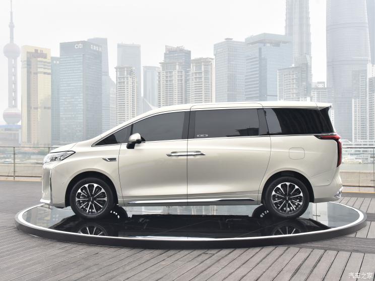 長城汽車 高山DHT-PHEV 2023款 基本型